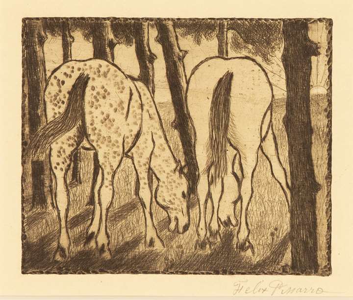 Two Horses Grazing under the Trees